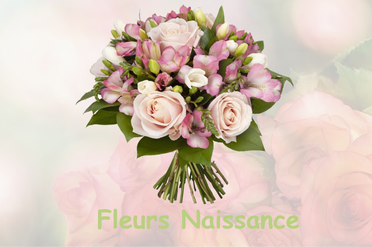 fleurs naissance LA-FERRIERE-AUX-ETANGS